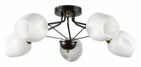 Потолочная люстра Arte Lamp Brighton A2706PL-5CK фото Потолочная люстра Arte Lamp Brighton A2706PL-5CK. Фото №1