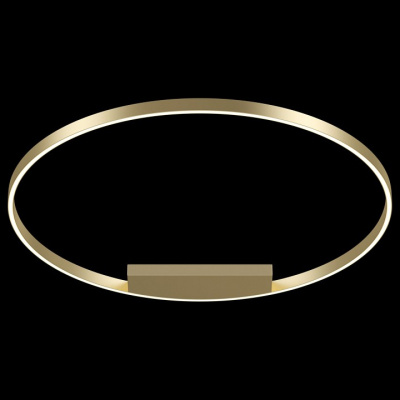 Накладной светильник Maytoni Rim MOD058CL-L65BS4K. Фото