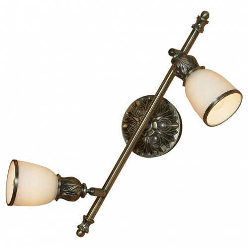 Спот Lussole Furlo LSL-7301-02. Фото №1