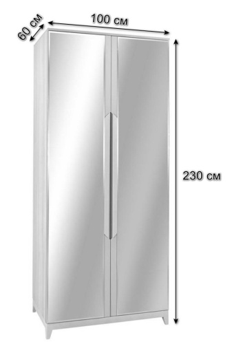 Шкаф двухстворчатый с зеркалами Сканди Грей фото Шкаф двухстворчатый с зеркалами Сканди Грей. Фото №3