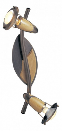 Спот Globo Lord 5436-2. Фото №1